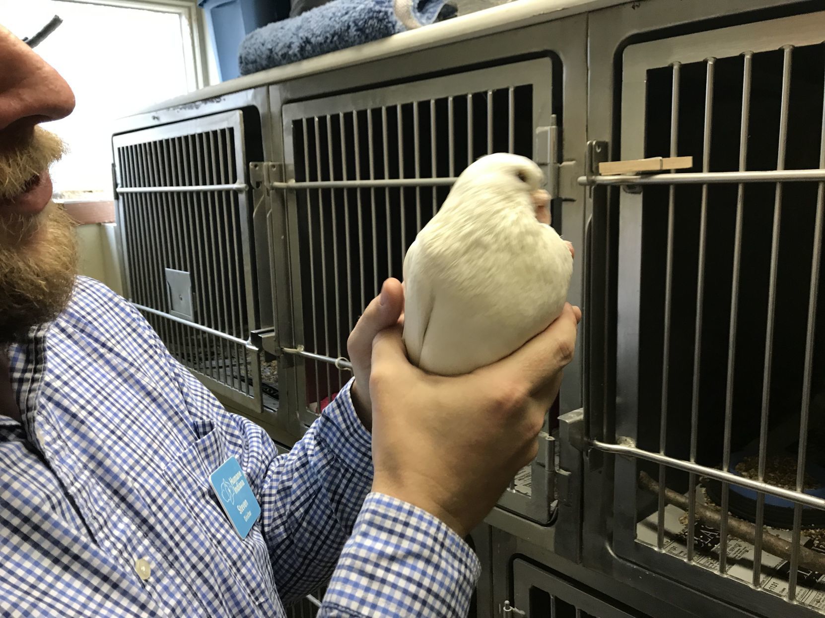 Gallery: Humane Indiana Wildlife and Education Center